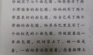 人教版配套阅读书现罂粟籽