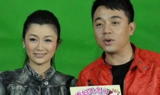 电视剧媳妇是怎样炼成的