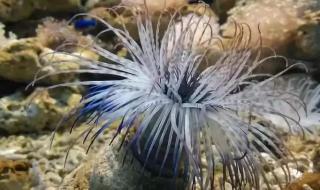 北海涠洲岛自由行攻略