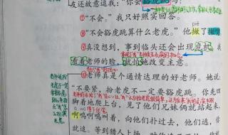 一只窝囊的老虎批注