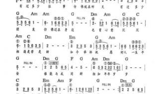 电子琴简谱大全100首