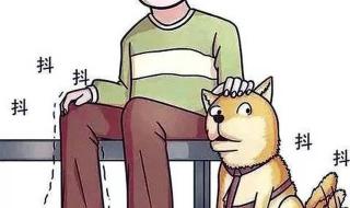 为什么有的人会不自觉抖腿