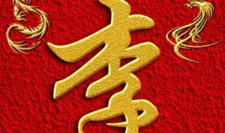 头像图片2024最新款女